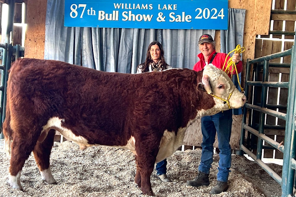web1_240502-wlt-bull-sale-pic-cliff-pogany_1