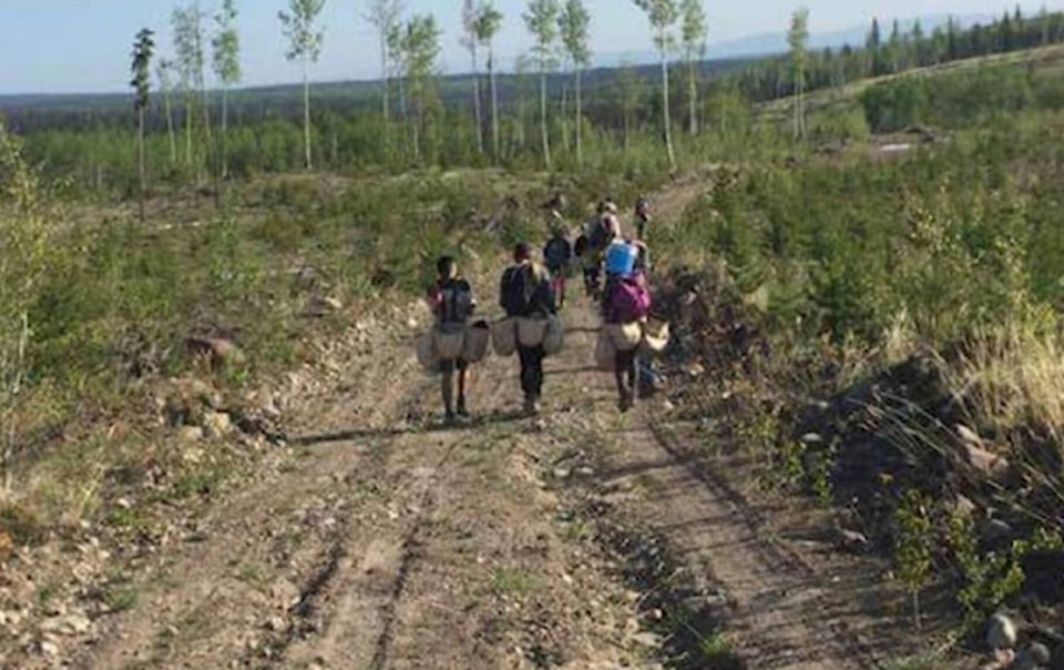 web1_240508-ldn_treeplanting-tree_1