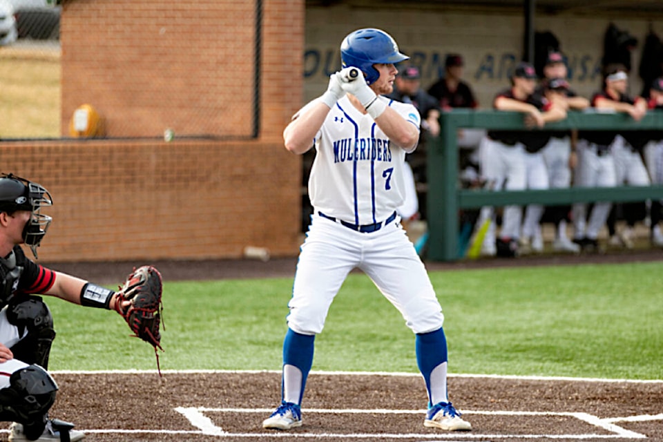 web1_240508-pqn-nicoll-wins-baseball-honours-brandonnicoll_1