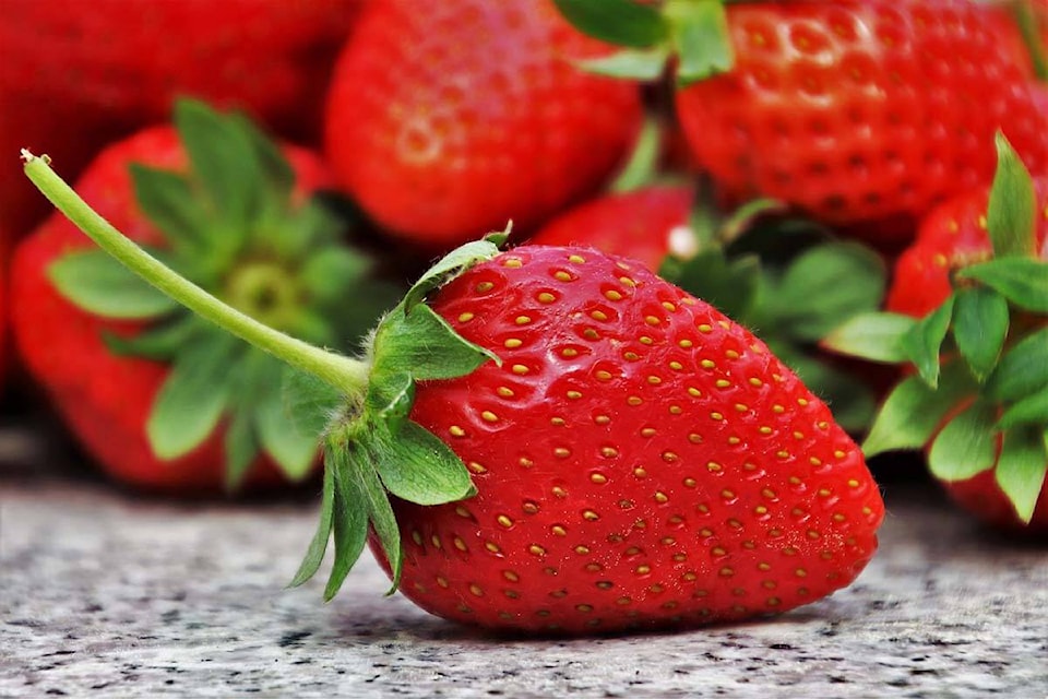 web1_240509-abb-urgent-rotary-strawberry-sale_1