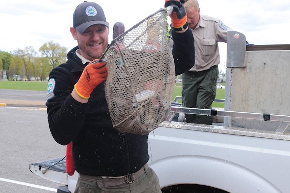 One thousand rainbow trout were placed into the pond in Vernon’s Polson Park Wednesday, May 1, 2024, ahead of the Kalamalka Fly Fishing Society’s annual kids’ fish-out event, taking place this weekend. (Brendan Shykora - Morning Star) 