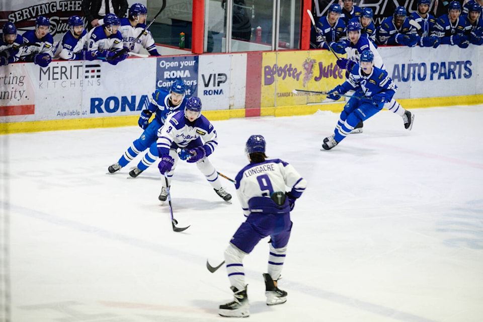 web1_240516-saa-silverbacks-vees