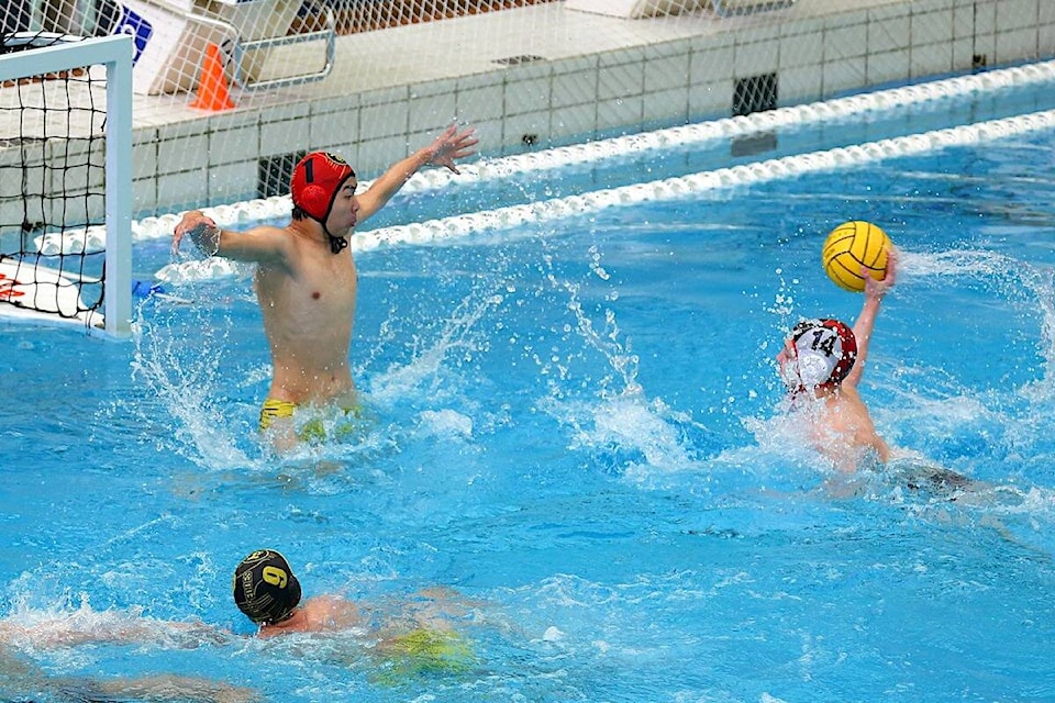 web1_240516-sul-waterpolo-main_1