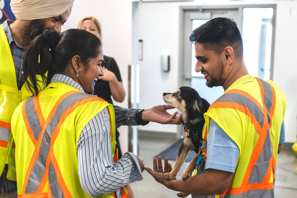  Therapy dogs visited Aldergrove’s Amazon warehouse on Tuesday, May 14. (Christopher Cho/Special to Aldergrove Star)  