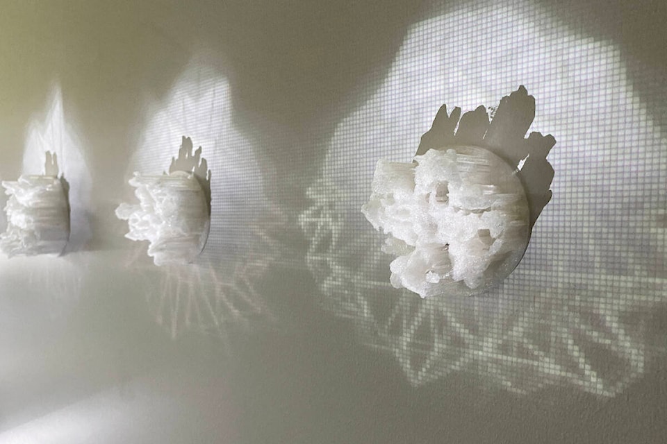 Mobile art exhibit explores impact of climate change and technology