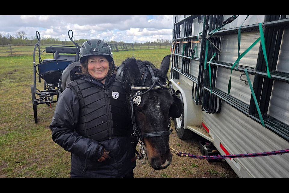 Rosalie Turcott with a fell pony, which she used to compete at the Cariboo Trials B.S. & Drive Field Driving Trial at 70 Mile House on Saturday. (Misha Mustaqeem photo - 100 Mile Free Press) 