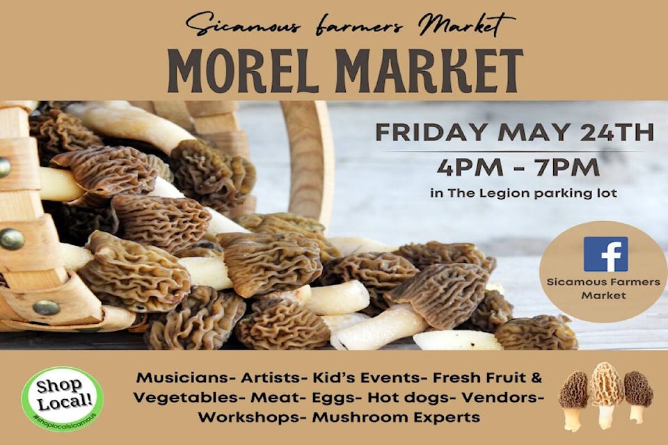 web1_240523-saa-sic-morel-market