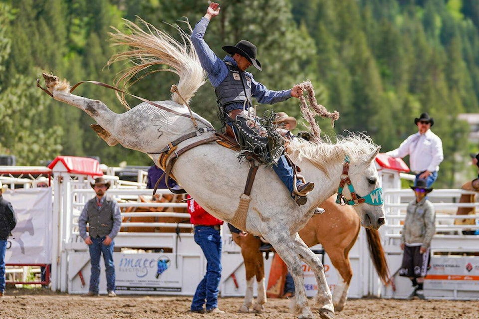 web1_240523-vms-stampede-_1