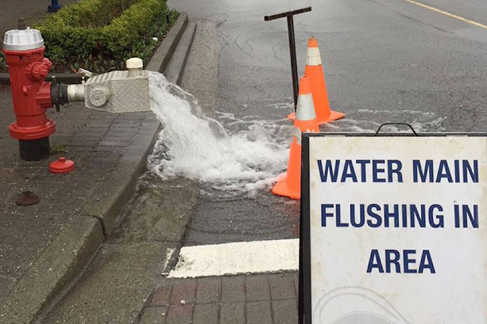 web1_240523-wek-watermain-flushing-watermainflushingwestk_1