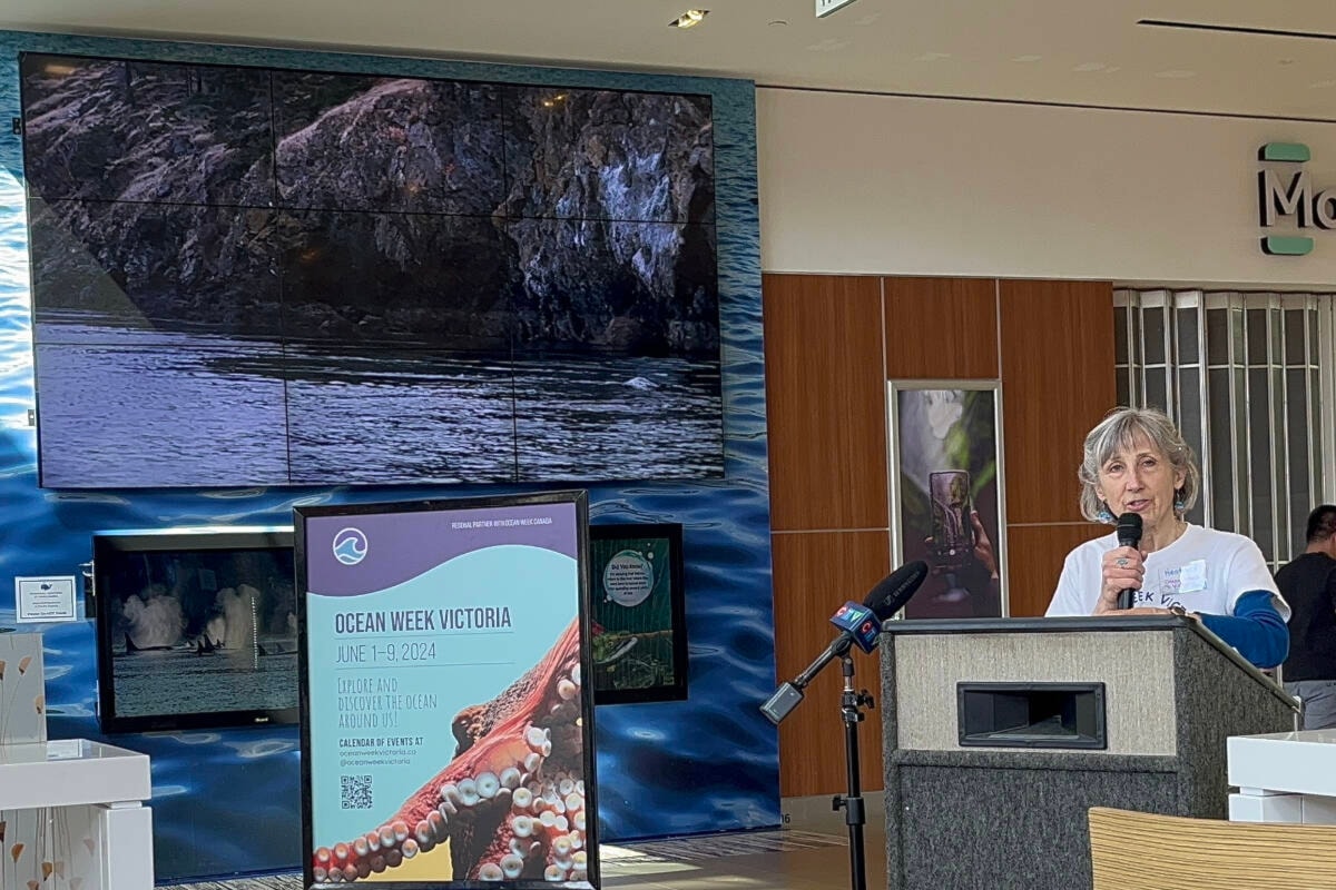 Ocean Week Victoria kicks off on June 1 for deep dive into sea science ...