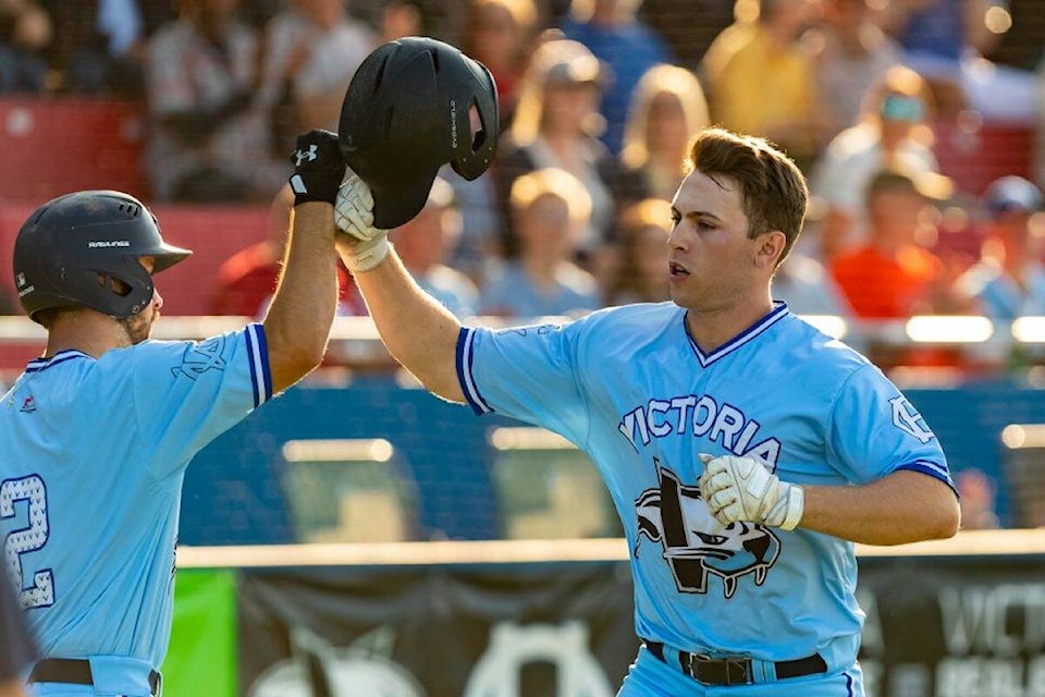 web1_240528-vne-harbourcats_1