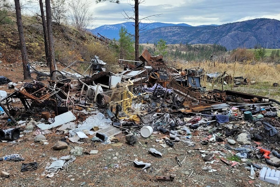 web1_240530-kcn-oftfcleanupokfalls-cxz_1