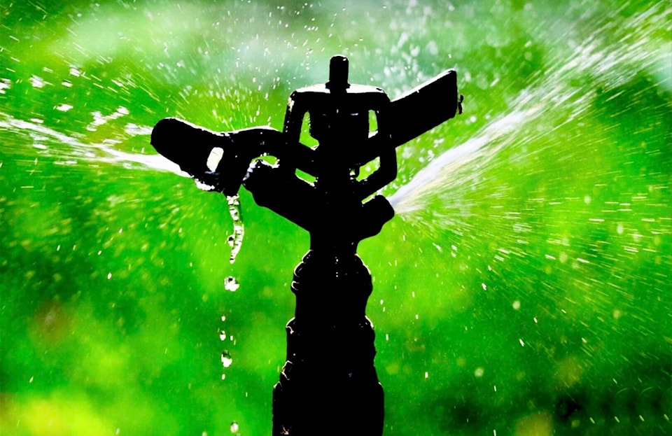 web1_240530-tdt-a-sprinkler_1