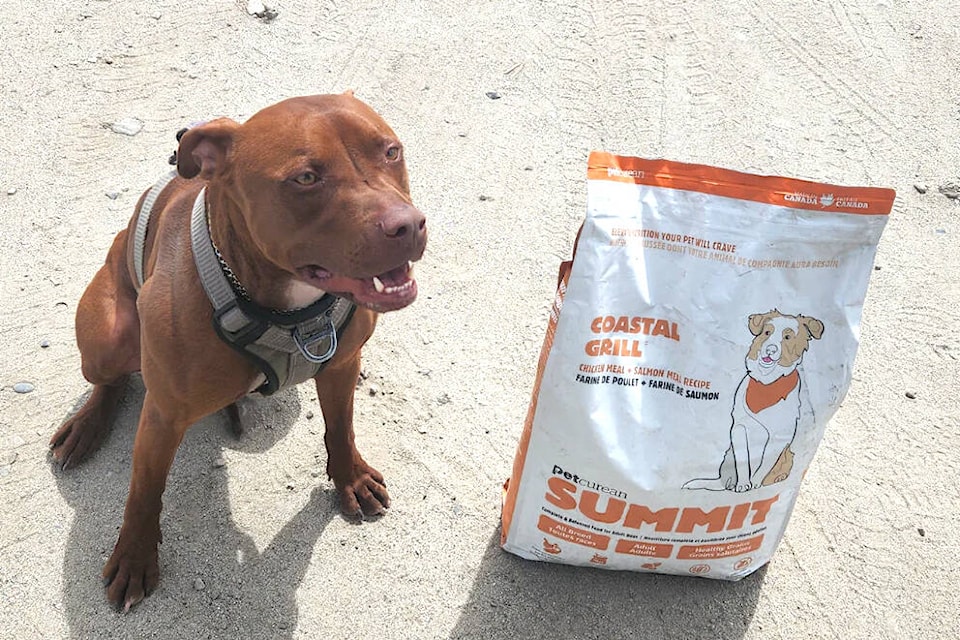 web1_240530-vms-pet-food-leroy_1