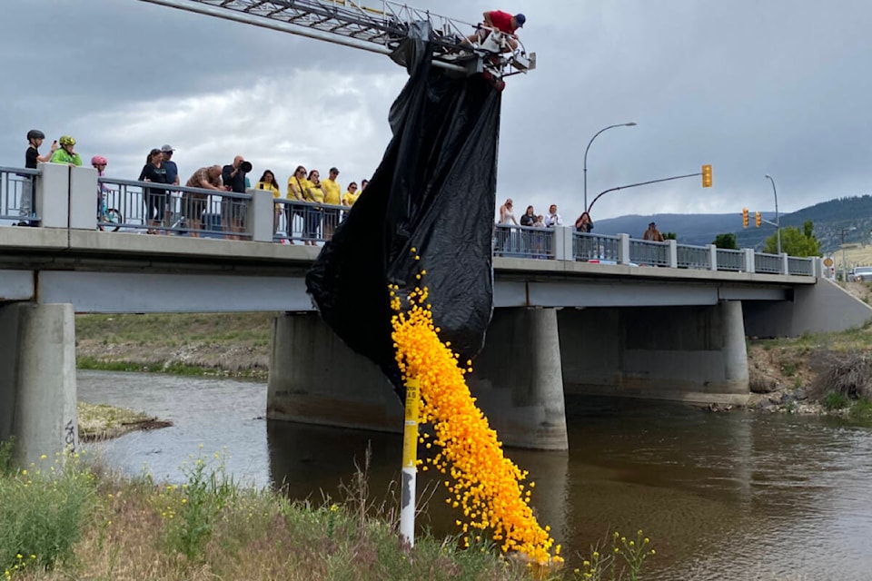 A total of 2,600 rubber ducks being dropped into the Penticton Channel on Saturday, May 25, for the second annual ‘Operation Duck Drop.’ (Logan Lockhart/Western News) 
