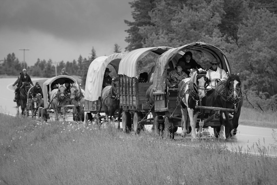 web1_240605-wlt-xeni-youth-wagon-trip-horse_2
