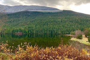 Retired forester shares health benefits of walking through the forests of Nakusp