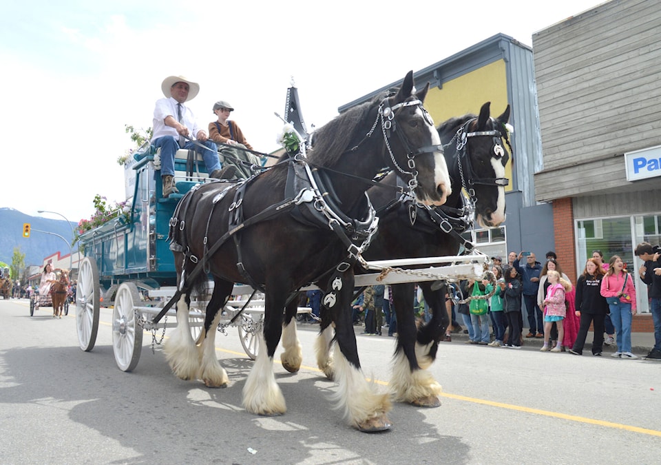 web1_copy_240523-cva-blossom-fest-parade-1_1