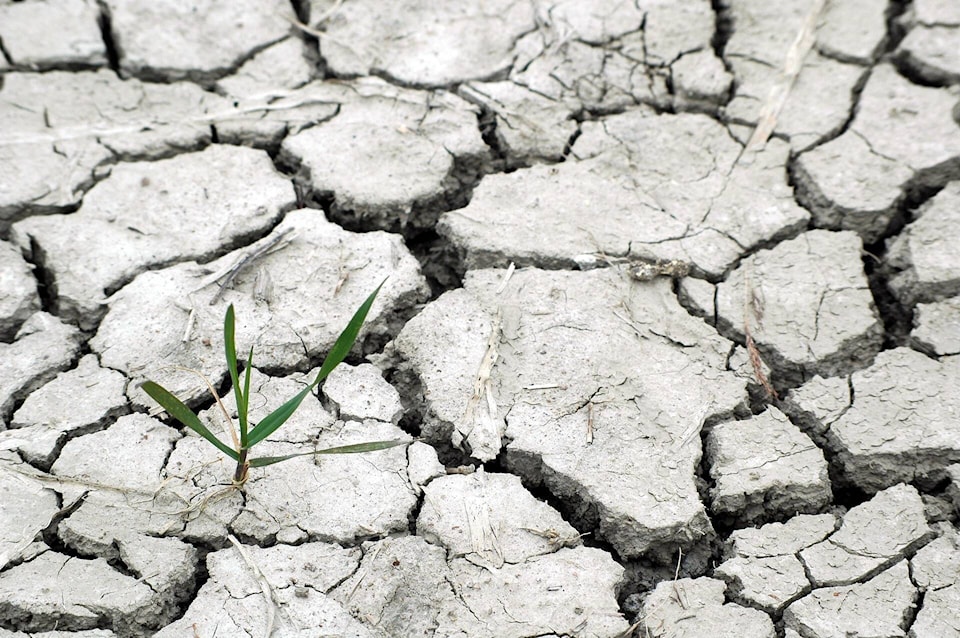 web1_drought-1510788_1920