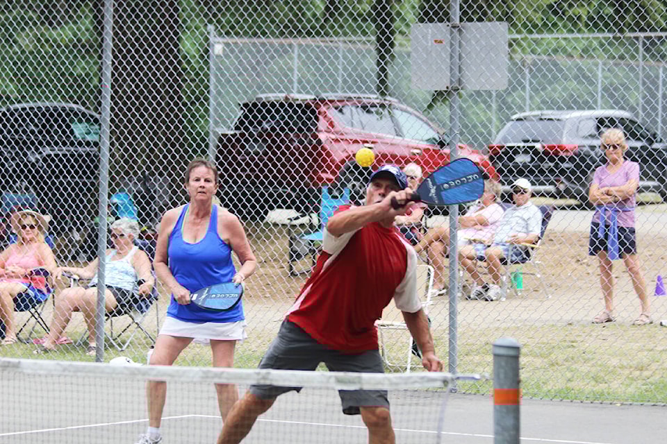 web1_pickleball3
