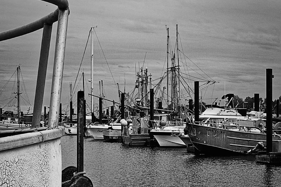 web1_rsz-the-marina