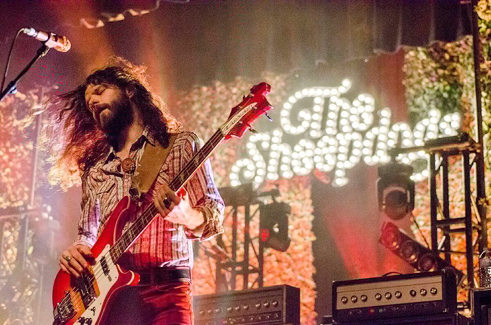 web1_sheepdogs-1