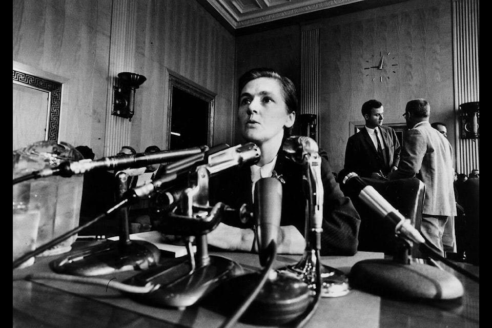 Dr. Frances Kelsey is seen at a congressional hearing in 1962 for ‘Time Life’ magazine. (Courtesy of Dr. Cheryl Warsh) 
