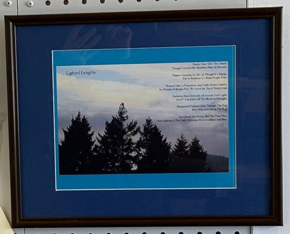 The society’s youngest artist member is only 16, and has created a book of photos and poems that is on display at the new art centre in Youbou. (Submitted) 