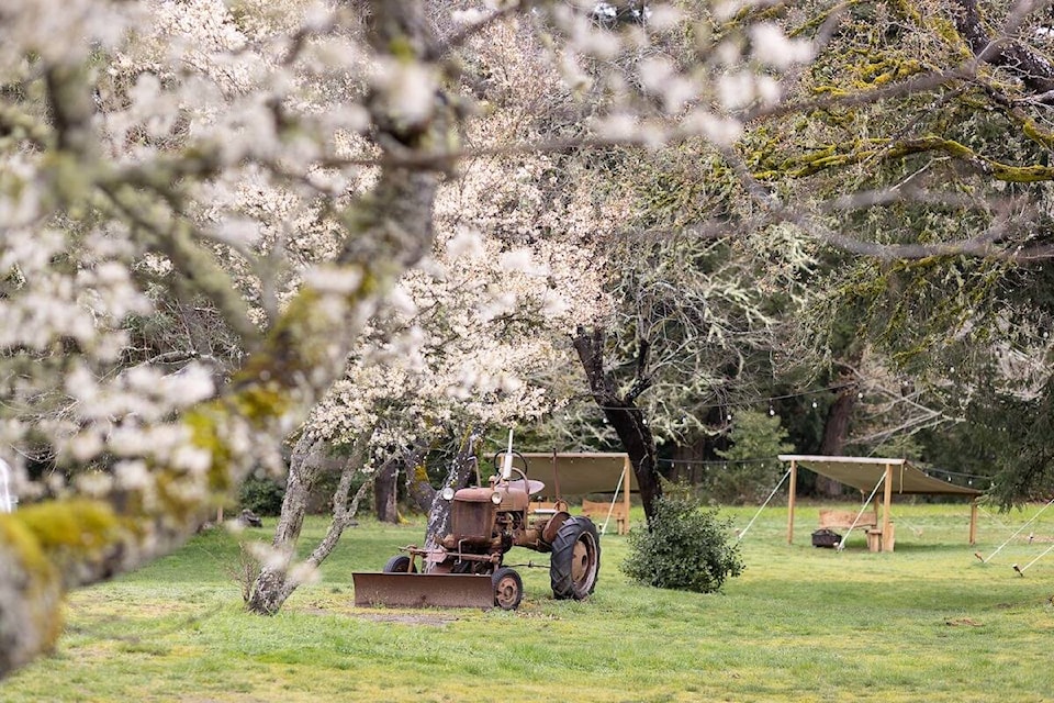 Bilston Creek Farm located in Metchosin. (Bilston Creek Farm/Facebook) 