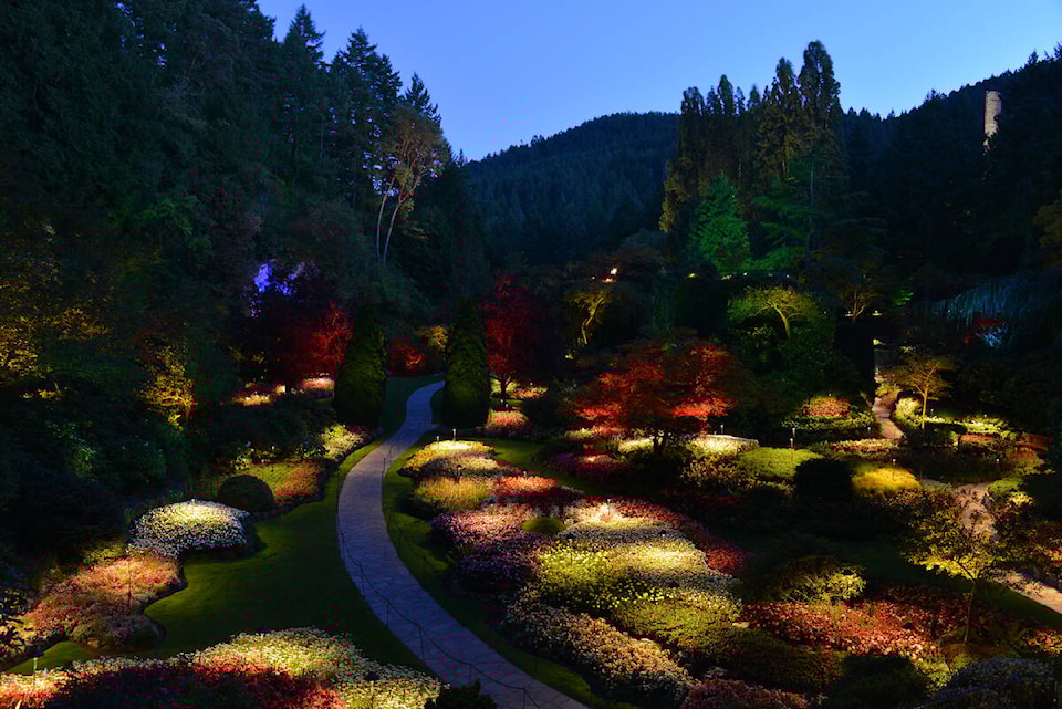 web1_240531-vne-summerbutchart-jj_1