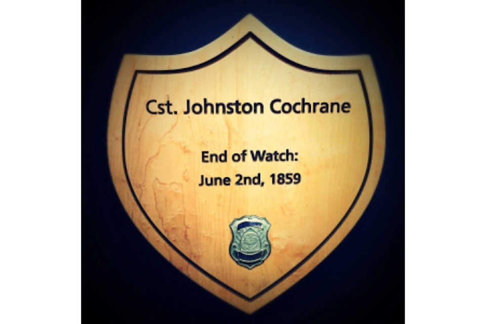 web1_240603-vne-johnstoncochrane_1