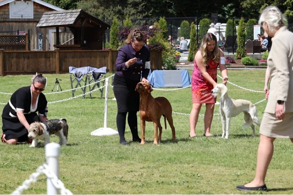 web1_240605-cvr-c-dogshow-1_2