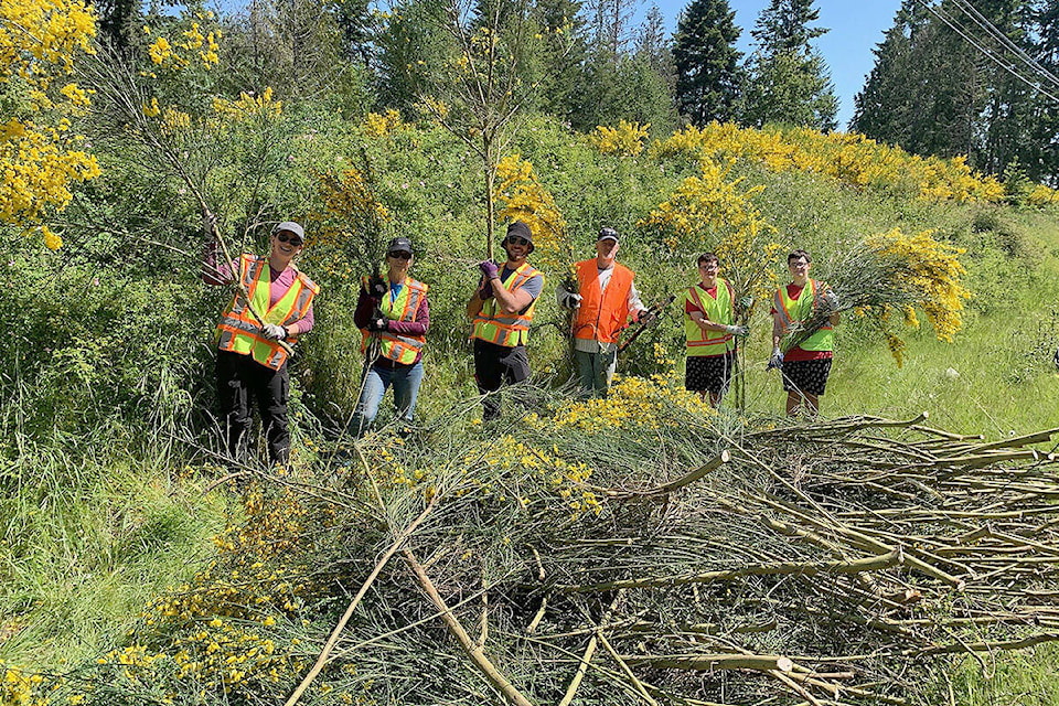web1_240605-pqn-sales-broombusters-broom_1
