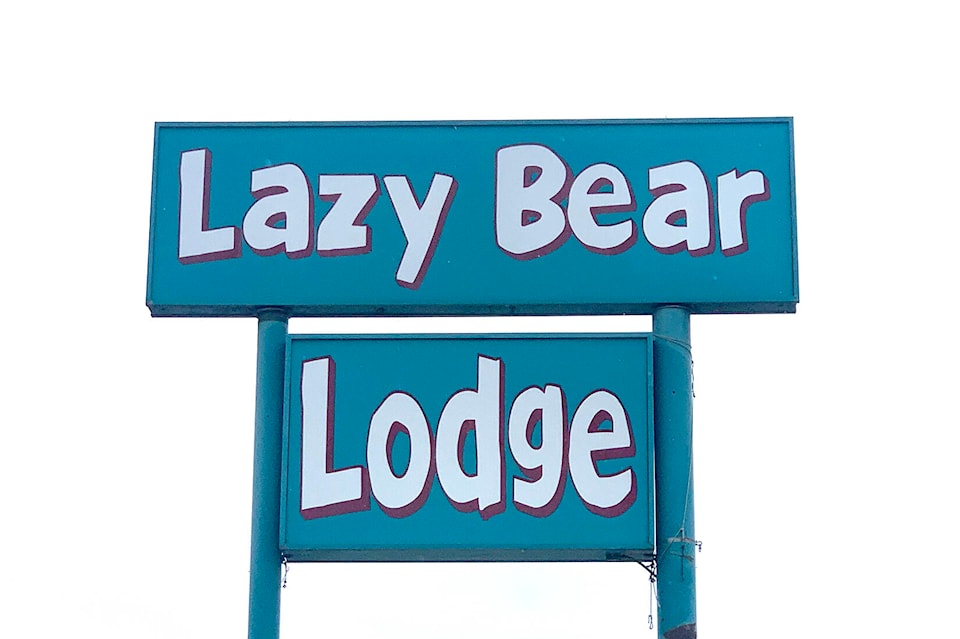 web1_240606-cdt-lazy-bear-1_1