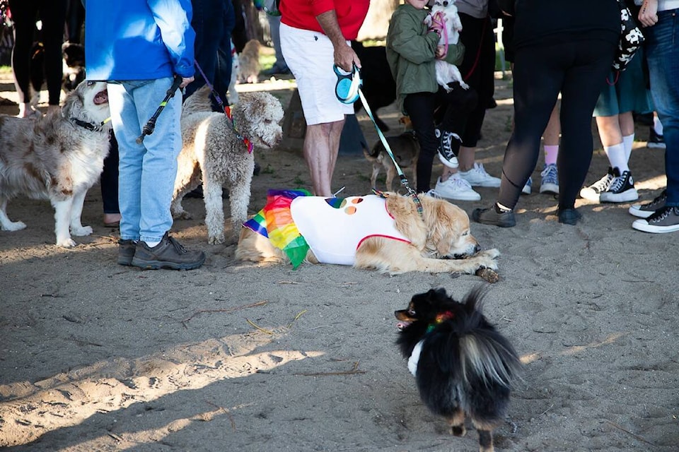 2024  Pride Week Big Gay Dog Walk. (Mary McBride/ MKM Photography) 