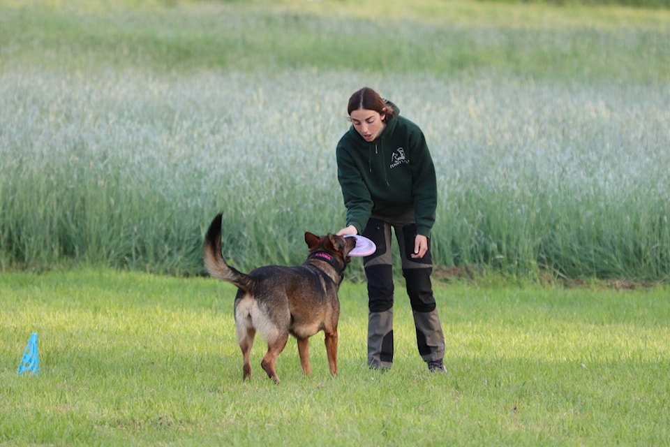 web1_240606-vms-dog-frisbee-1_2