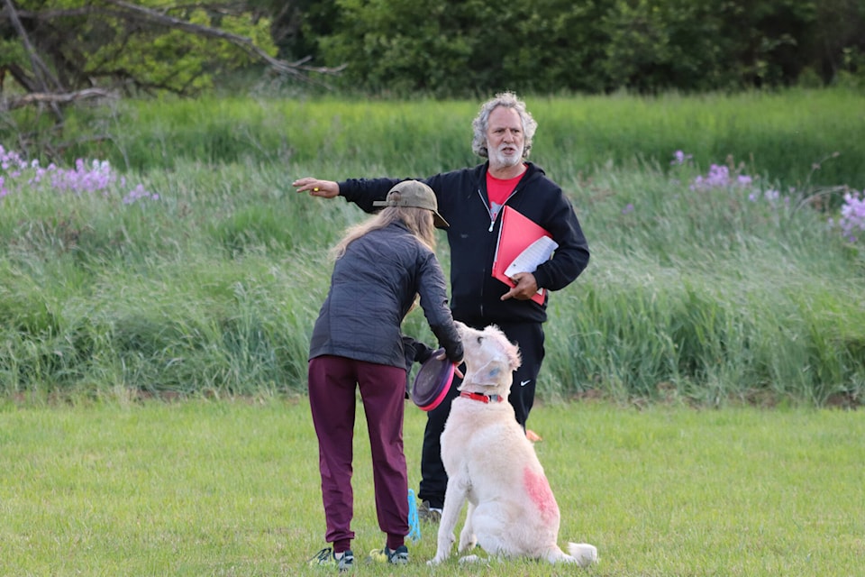 web1_240606-vms-dog-frisbee-1_7