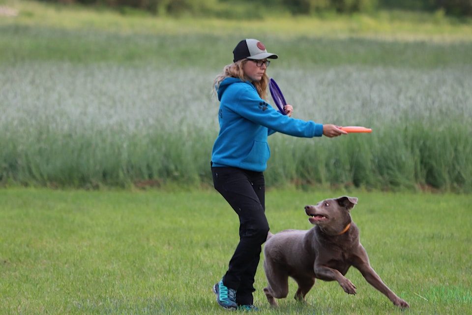 web1_240606-vms-dog-frisbee-1_9