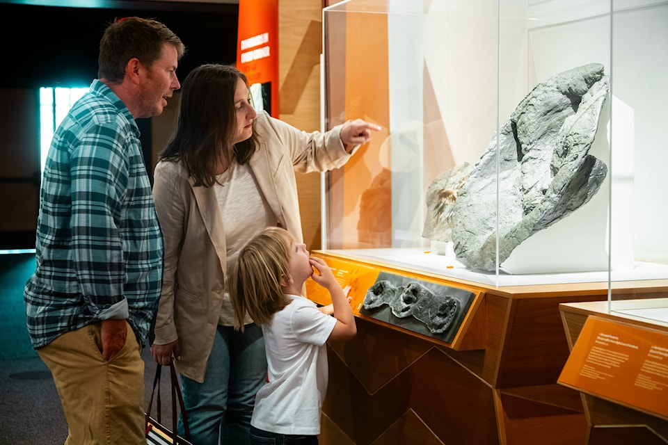 web1_240607-kcn-dinos-bc-dinosaursofbc_1