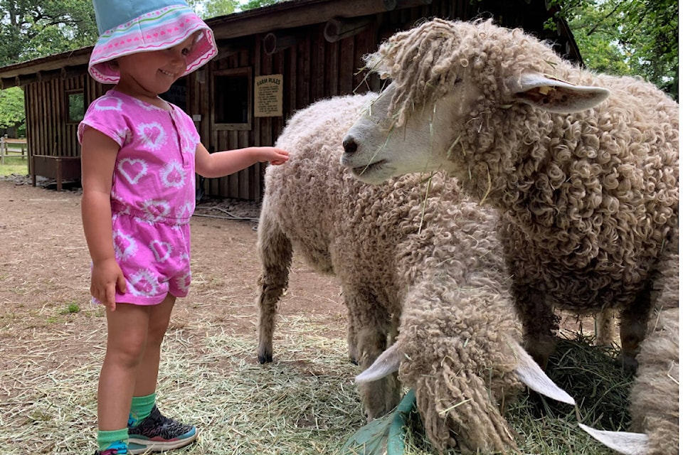 web1_240612-cvr-c-handsonfarm-1_1