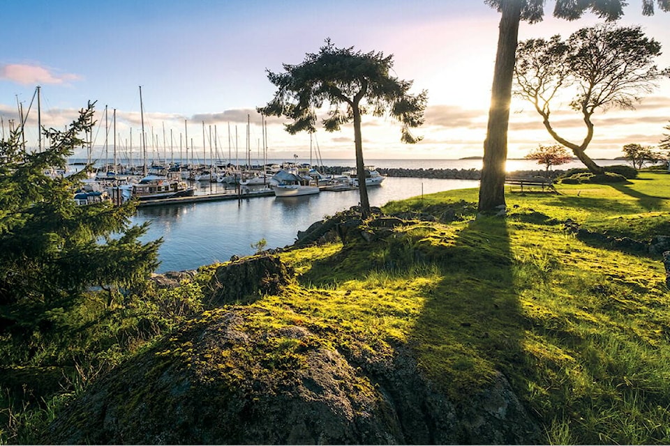 web1_fw_marina_sunrise_low-res