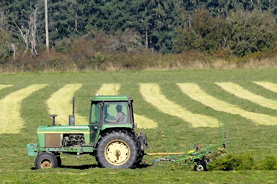 web1_harvest2-pdn-201007