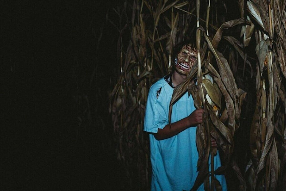 web1_fieldofscreams-1