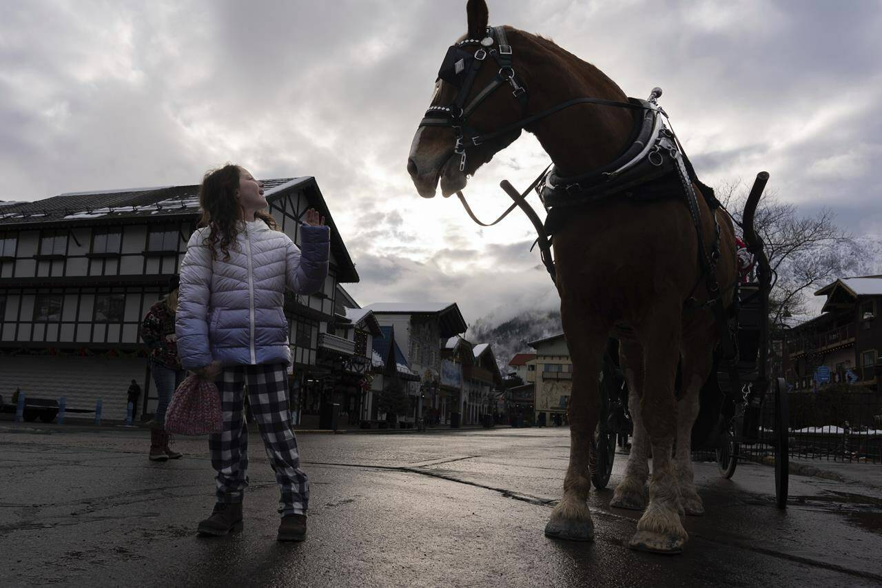 How one village became the Christmas capital of Washington state