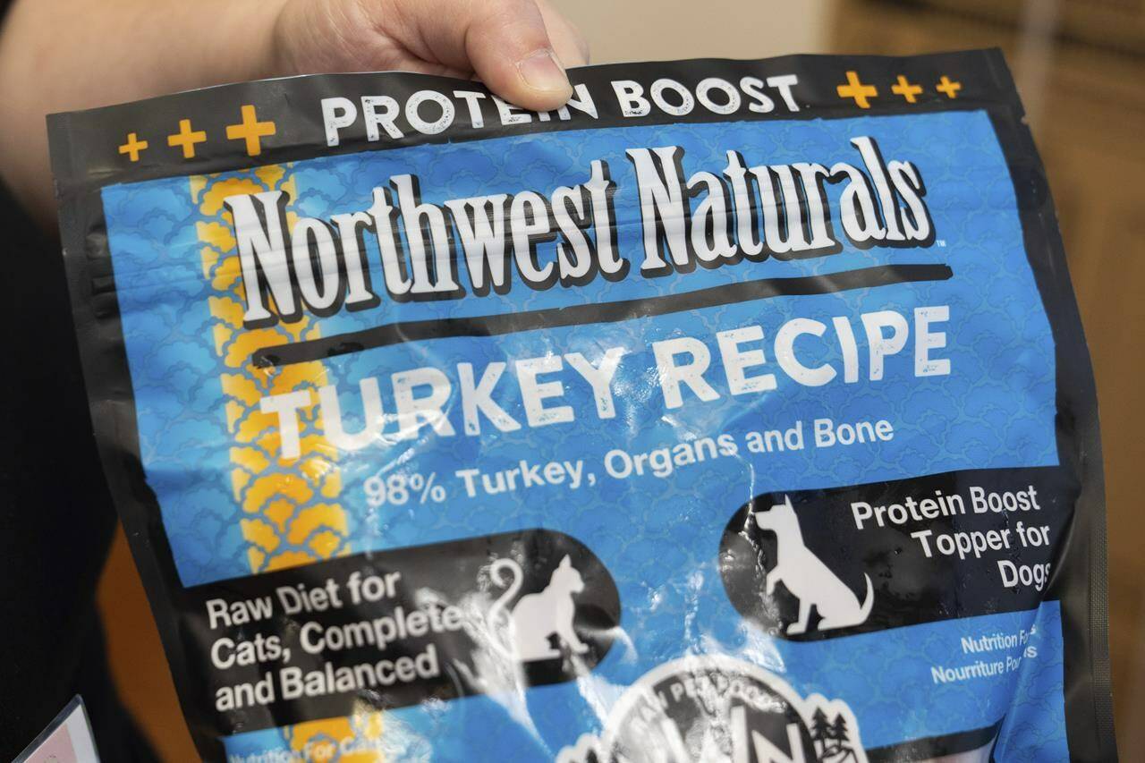 Pet food sold in B.C. recalled after cat dies from batch infected with bird flu