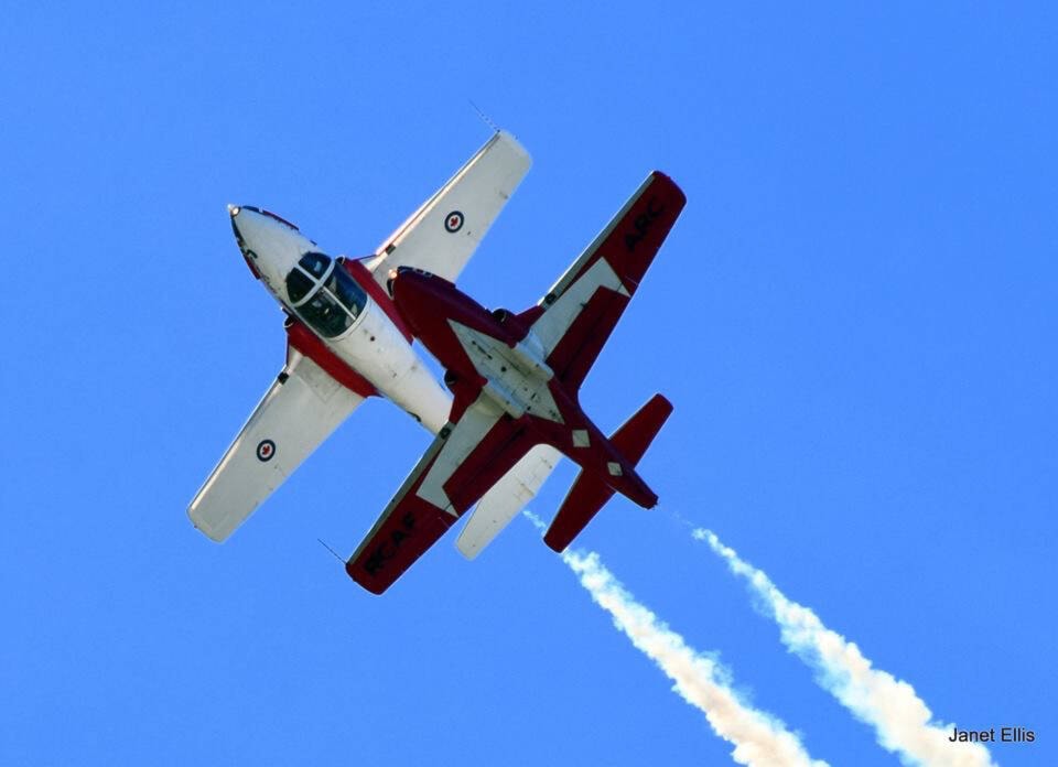 web1_snowbirds-janet-ellis