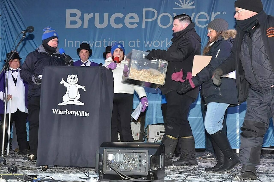 Groundhog Day 2025 Fred, Sam, Willie not on the same page about winter