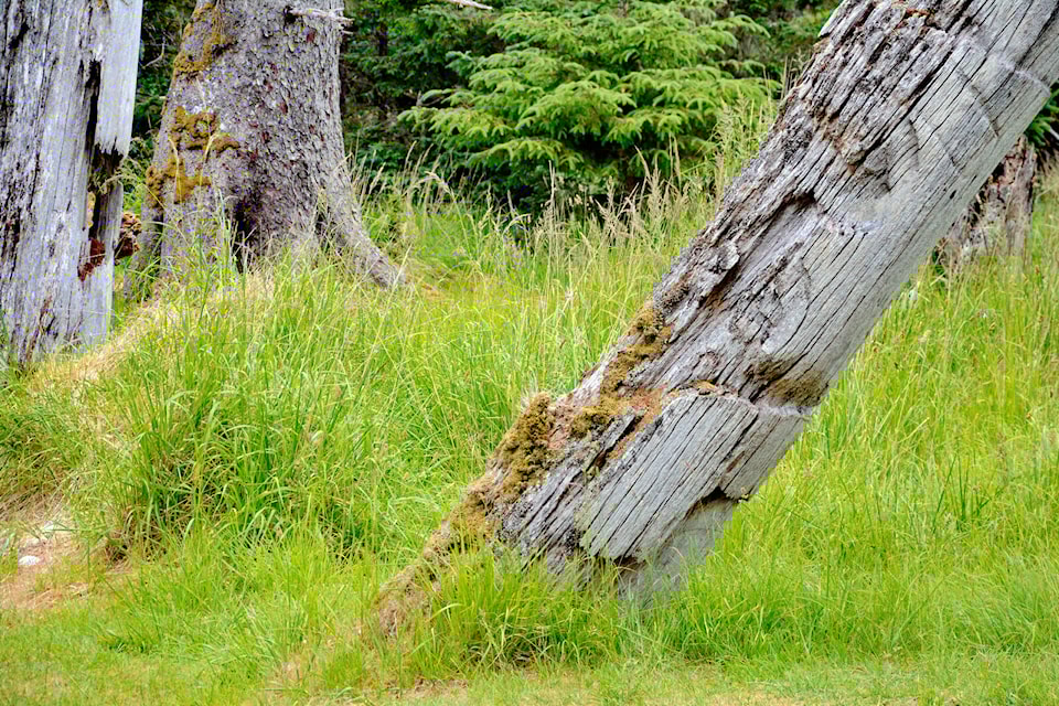 web1_250303-wct-haidagwaii-boulevard-new_2