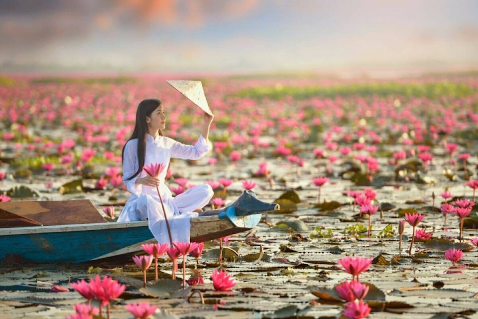 web1_soul-of-vietnam