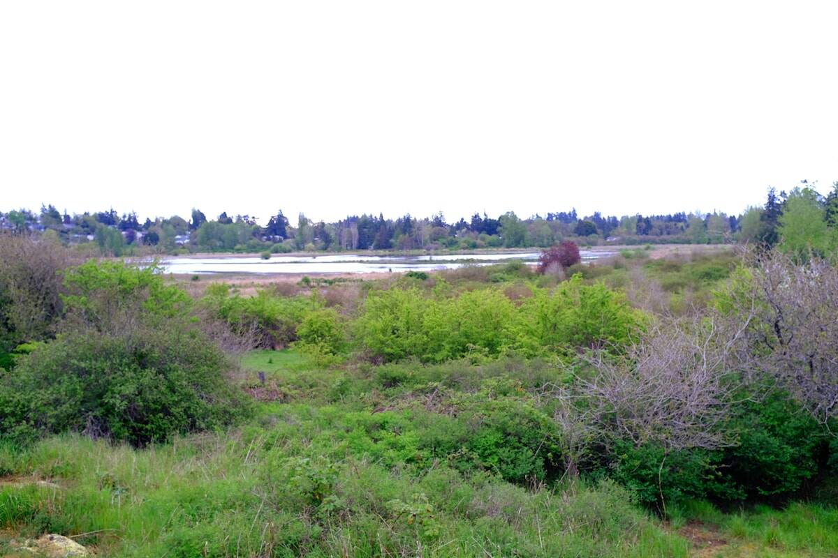 Saanich endorses new Panama Flats plan balancing wildlife and community access